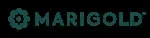 Magold company logo