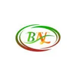 BN Consultancy Human Resourses LTDA company logo