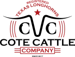 CSAALVES company logo