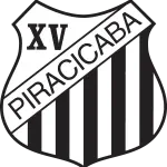 ASSOCIACAO COMERCIAL E INDUSTRIAL DE PIRACICABA company logo
