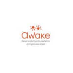 AWAKE CONSULTORIA DHO LTDA company logo