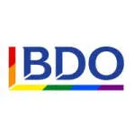 BDO Brazil Rcs Auditores Independentes company logo