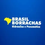 Brasil Borrachas LTDA company logo