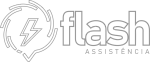 Flash Assistência company logo