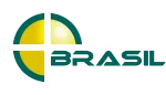 GRUPO BRASIL FORTE company logo