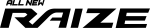 RAIZHE LTDA company logo