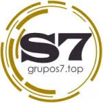 S7 SERVICOS EMPRESARIAIS company logo