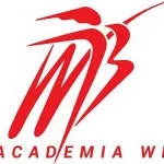 ACADEMIA WANDA BAMBIRRA company logo