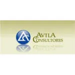 AVILA MARTINS CONSULTORIA company logo