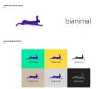 BI Animal Health Brasil Ltda company logo