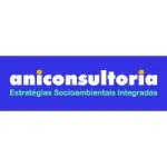 Consultoria Ani company logo