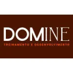 Domine Treinamento e Desenvolvimento company logo