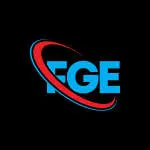 FGE Soluções company logo