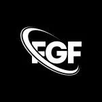 FGF CONTADORES LTDA company logo