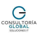 IT GLOBAL SERVICES CONSULTORIA DM SISTEMAS DE... company logo