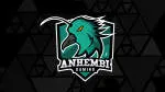Indústrias Anhembi company logo