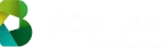 Boslan Tecnologia de Projetos LTDA company logo