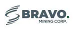Bravo Corp company logo