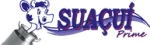 Decanto Suaçuí company logo