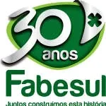FABESUL COMÉRCIO DE SUPRIMENTOS LTDA company logo