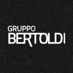 GRUPO BERTOLDI company logo