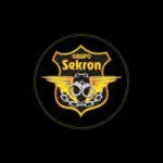 GRUPO SEKRON company logo