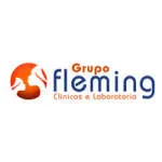 Grupo Fleming company logo