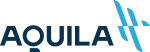 INSTITUTO AQUILA DE GESTAO company logo