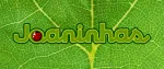 Joaninha Flores company logo