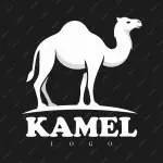 KAMEL MAGAZINE LTDA company logo