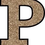 P&P DISTRIBUIDORA LTDA company logo
