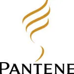 Panebene company logo