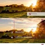 ACG ASSESSORIA CONTABIL company logo