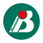 Benassi Minas company logo