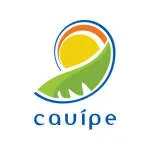 Cauípe Moda Praia company logo