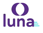 LUNA RECRUITER APOIO ADMINISTRATIVO LTDA company logo