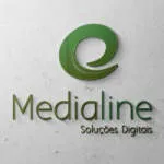 MIDLINE CONSULTORIA, TREINAMENTOS E SERVICOS EM... company logo