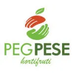 PEG PESE company logo
