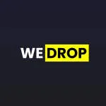 WEDROP LOGISTICA E SERVICOS LTDA company logo