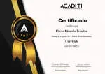 ACADI TI - Academia Inovadora de TI company logo