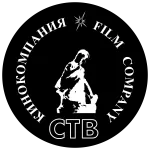 STV Segurança company logo