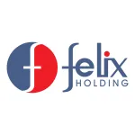 FELEX RECURSOS HUMANOS company logo